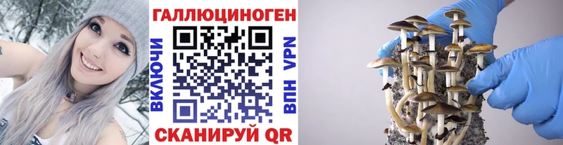 Галлюциногенные грибы Magic Shrooms  Купить где  Мантурово 